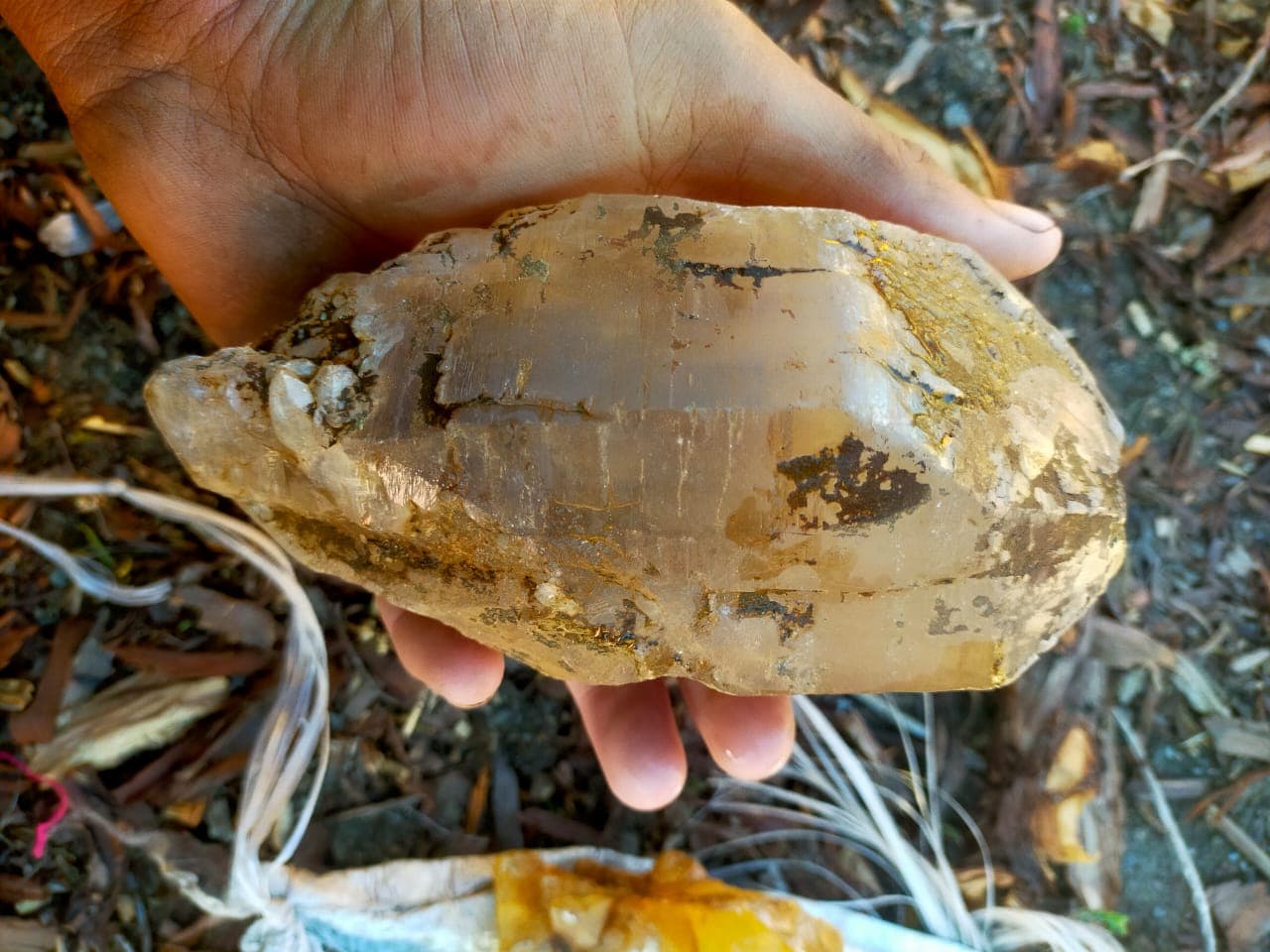 Quartz Specimen - Gultari & Bagicha