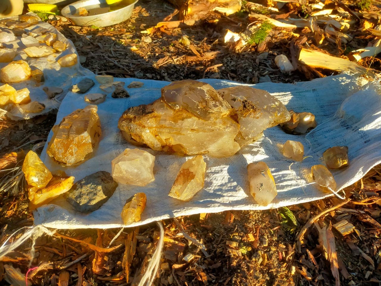 Quartz Specimen - Gultari & Bagicha