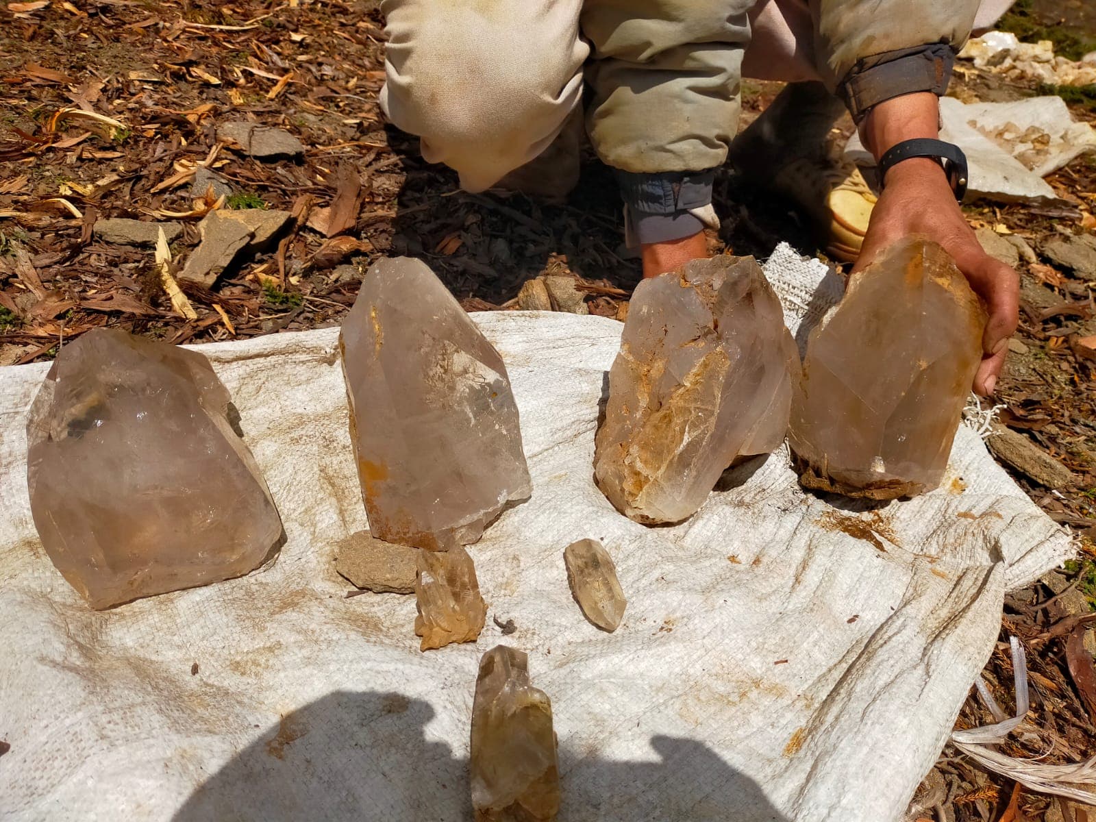 Quartz Specimen - Gultari & Bagicha