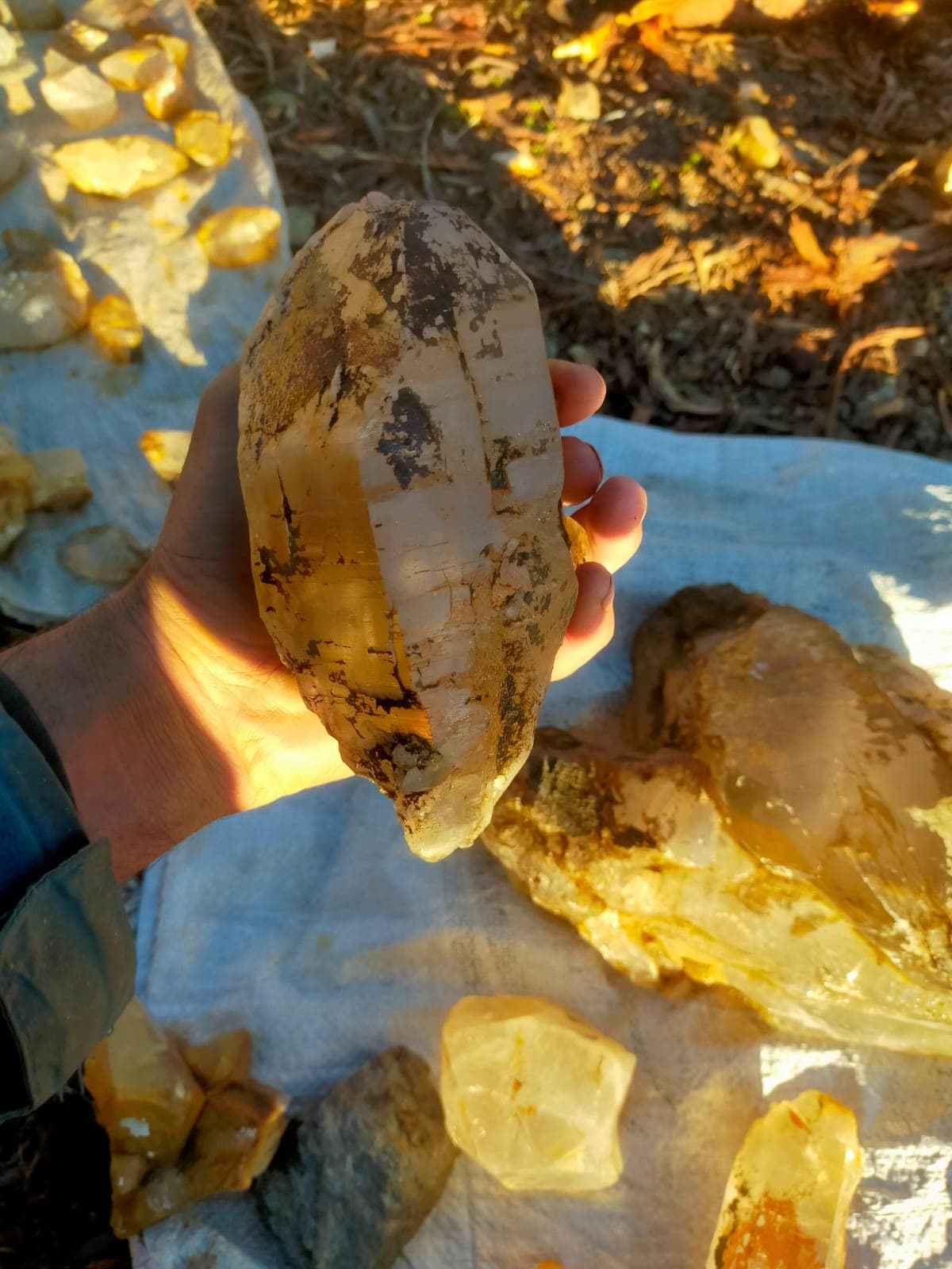 Quartz Specimen - Gultari & Bagicha
