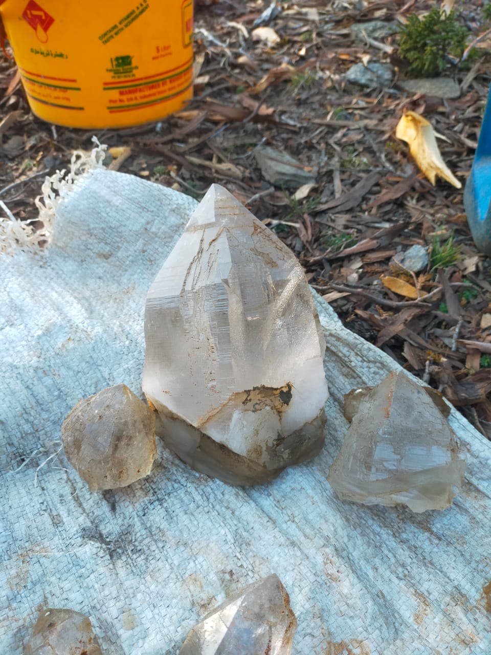 Quartz Specimen - Gultari & Bagicha